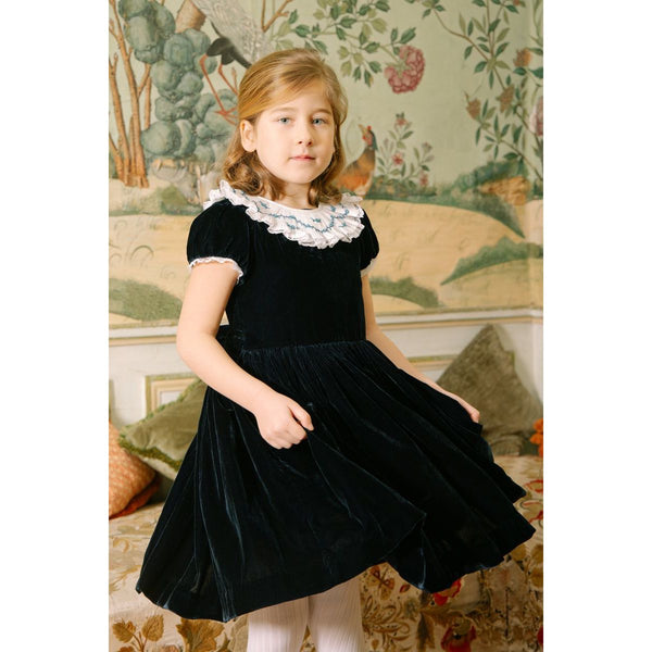 CELESTINE NAVY VELVET DRESS
