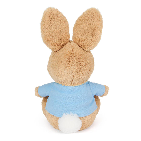 PETER RABBIT SILLY PAWS
