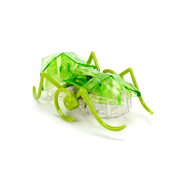 HEX WALL MICRO ANT