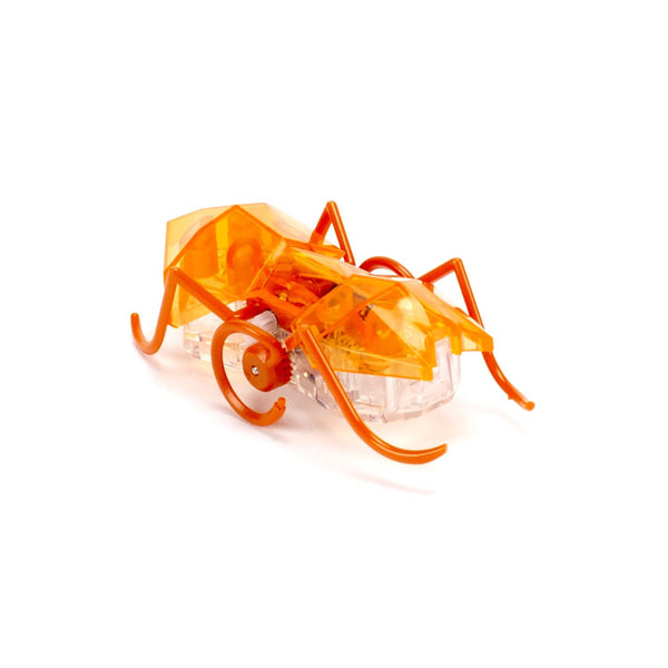 HEX WALL MICRO ANT