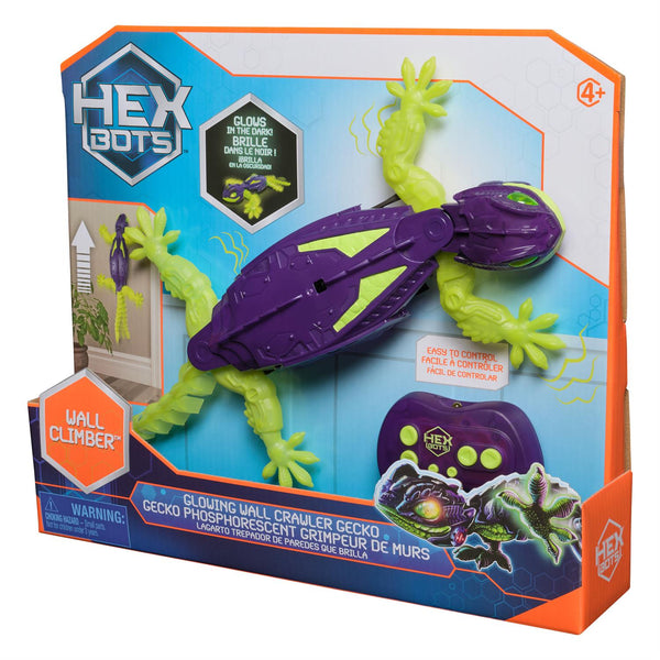 HEX WALL CRAWLER GECKO