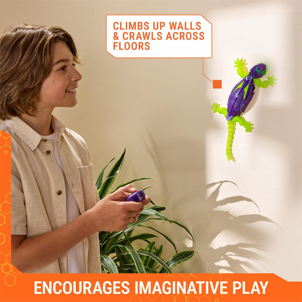 HEX WALL CRAWLER GECKO