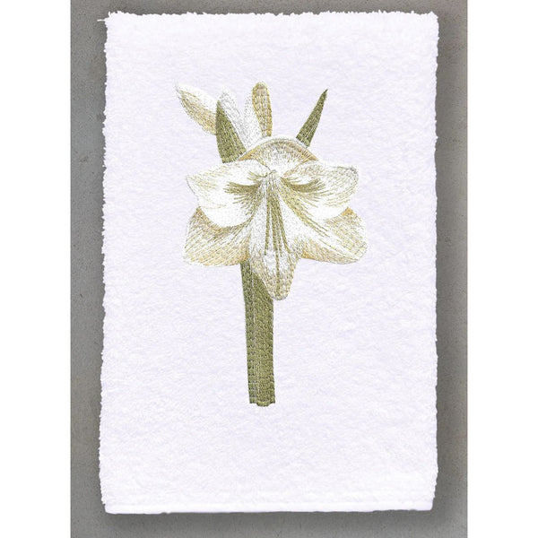 WHITE AMARYLLIS ROMA TOWEL