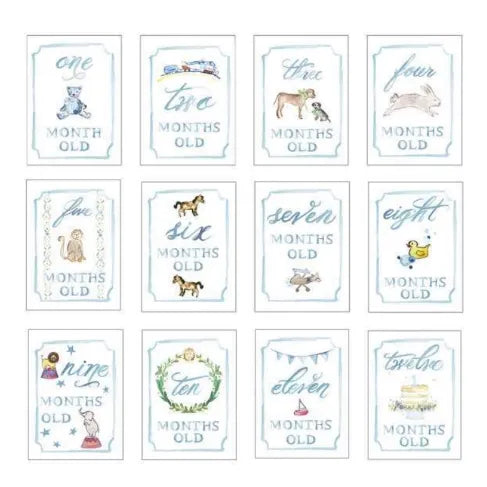 BLUE MONTH BY MONTH BABY CARDS