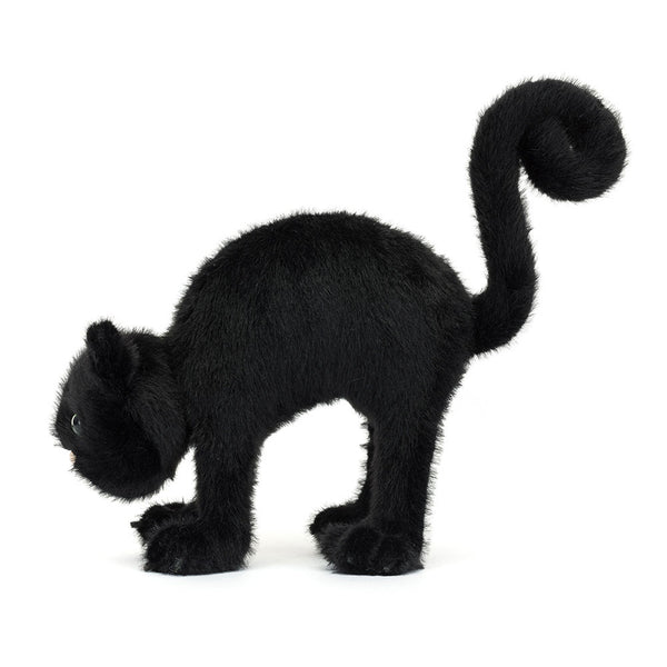 SPOOKIPAWS CAT