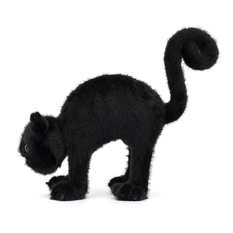 SPOOKIPAWS CAT