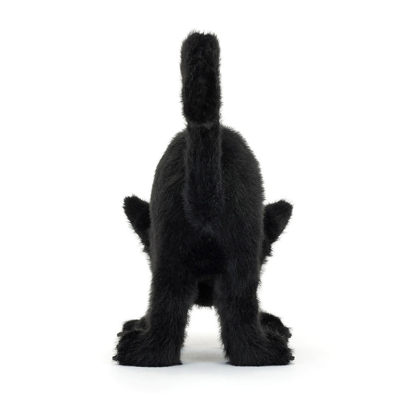 SPOOKIPAWS CAT