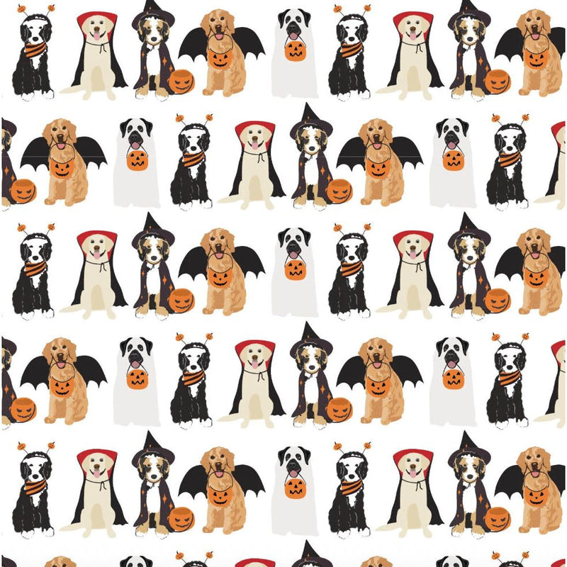 EMERY SHORT SET HALLOWEEN PUPS