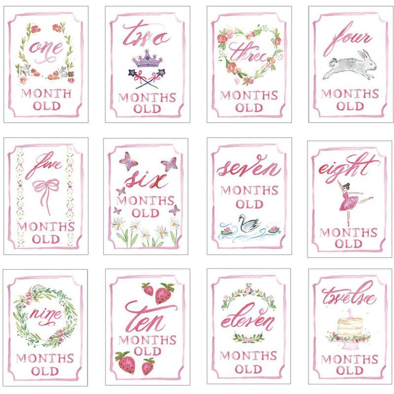 PINK MONTH BY MONTH BABY CARDS